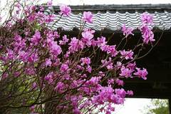 100411�¹�����