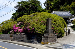 160423���ܱ��ĥĥ�3