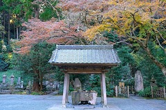 231220̯�ܻ�����1