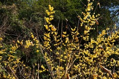 140122��������Х�