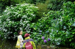 120622�߳л���������2