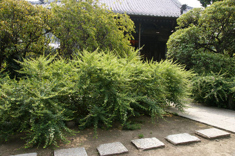 080913�������ϥ�