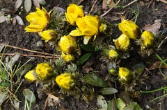 150208�������ե����好��