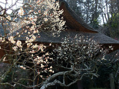 080223��Ļ�����