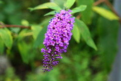 221015�繪���֥åɥ쥢