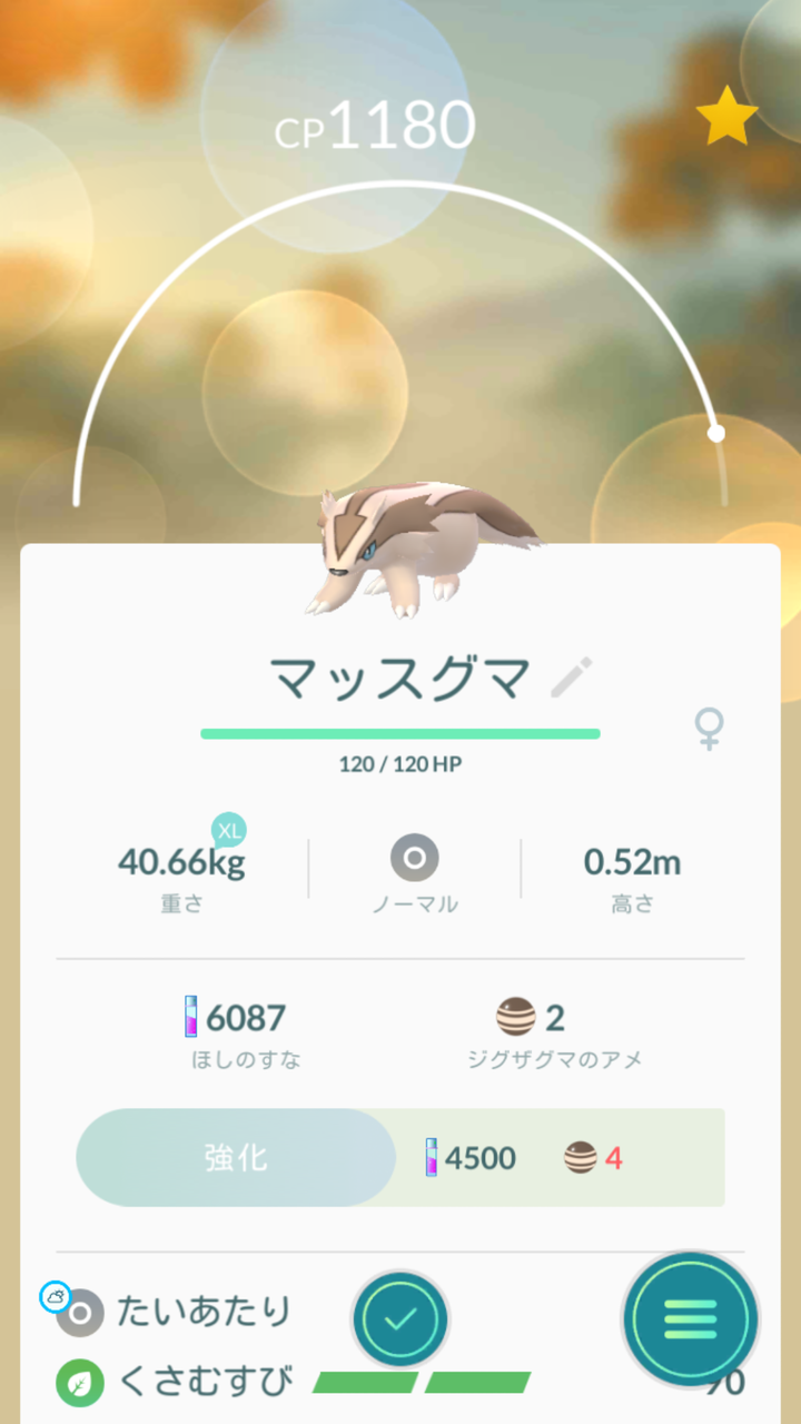 マッスグマに進化 だらだら書くよpokemon Go日記 マッスグマに進化 だらだら書くよpokemon Go日記