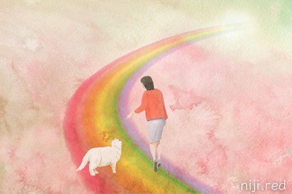 虹の橋絵本 Rainbow Bridge 虹の橋の犬猫鳥たち ブログ