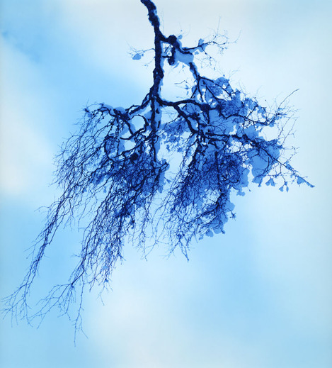 pass a winter001