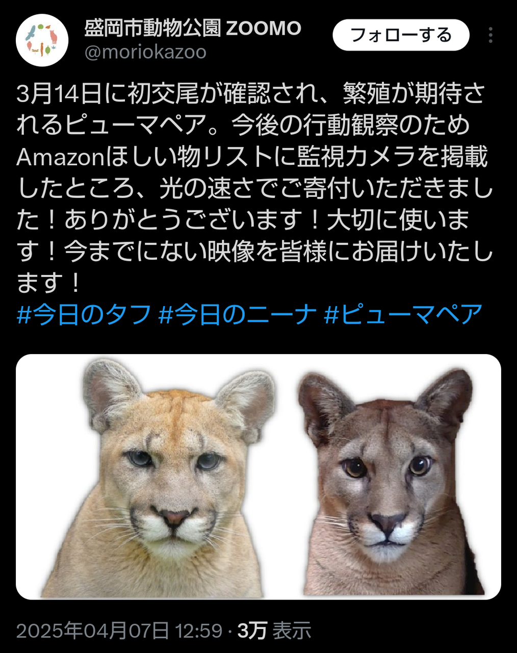 【タフ】あうっい…いきなり寄付するのかぁっ|にじげん!デイリー