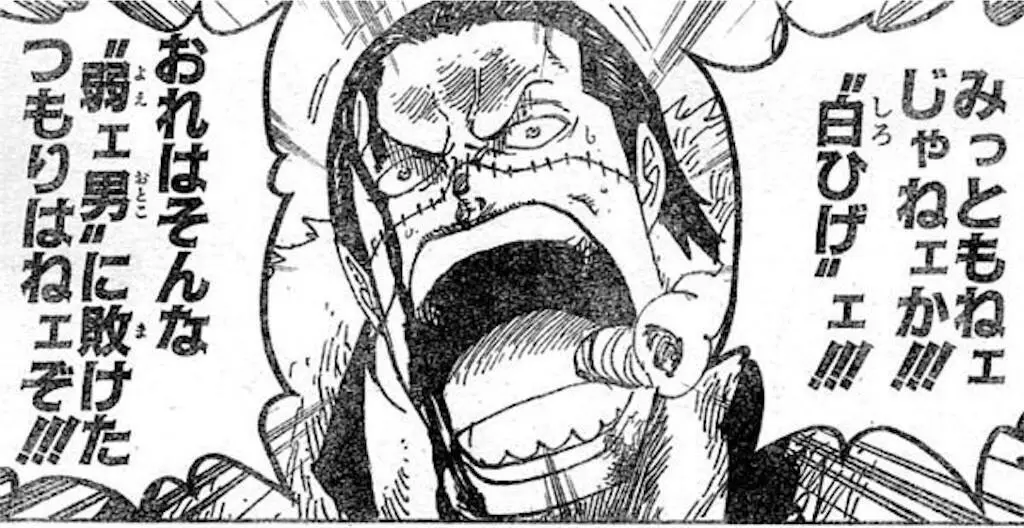 【ワンピース】全盛期白ひげが描写されると確かに言いたいことはわかる|にじげん!デイリー