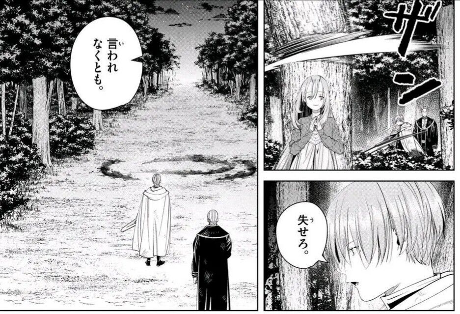 【葬送のフリーレン】ノイズ|にじげん!デイリー