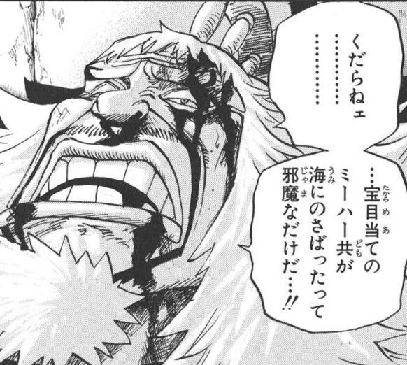 【ワンピース】ロックス編で結構出番あるからどんな背景だったっけ|にじげん!デイリー