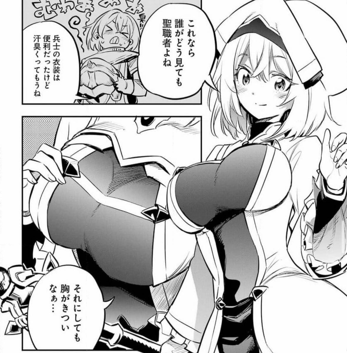 【ゴブリンスレイヤー】むっ!この神官さんはとてもいいゴブね…|にじげん!デイリー