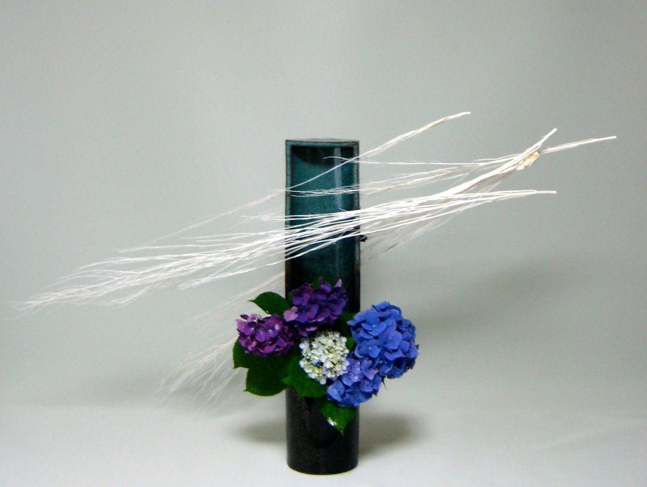 梅雨にいける 虹色の花blog