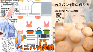 jygaimopan