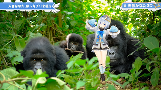 amagori