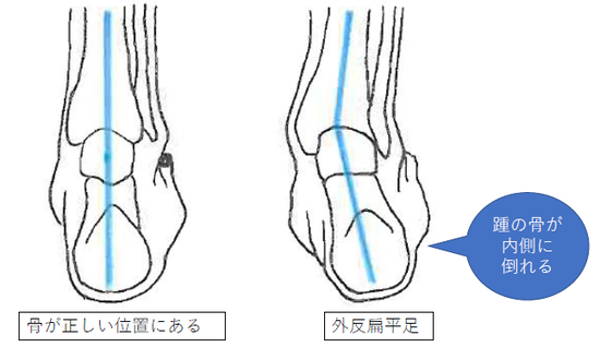 (図2）