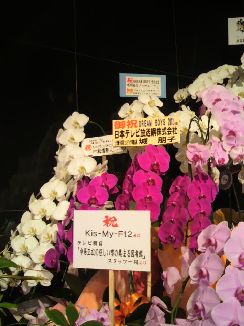 2012年DREAMBOYS祝い花3