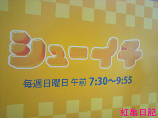 2015¼®Î±¥Ñ¥é¥À¥¤¥¹¡¦¥·¥å¡¼¥¤¥ÁÃæ´ÝDIY01
