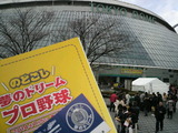 のどごし夢のドリームプロ野球1
