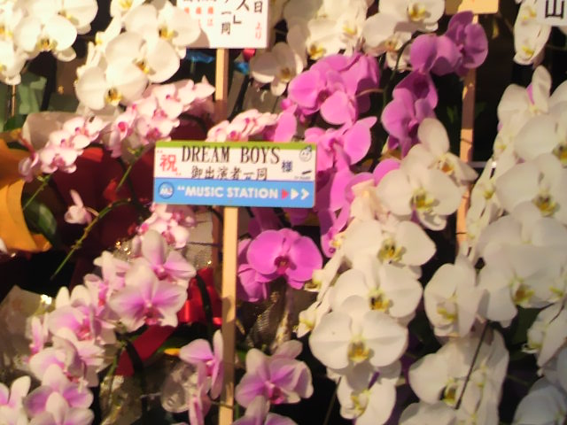 2012年DREAMBOYS祝い花1