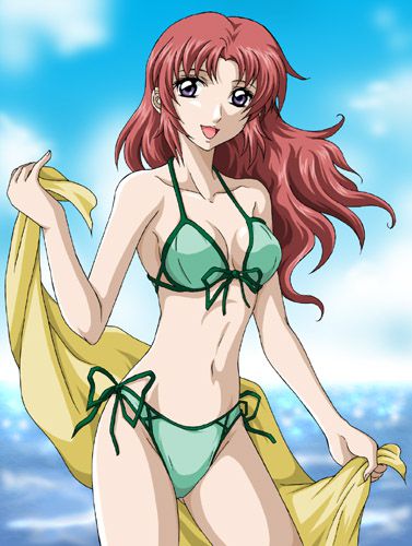 hentai_seed_meiling_hawke45