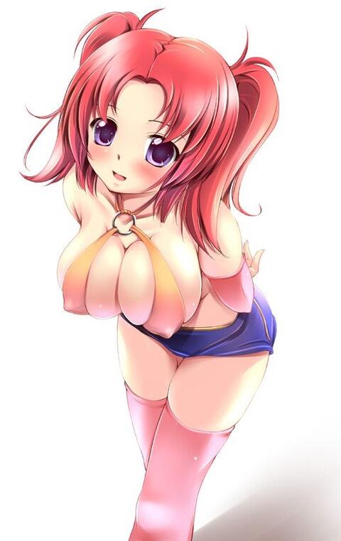 hentai_seed_meiling_hawke9