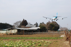 narita