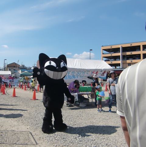 0922黒猫