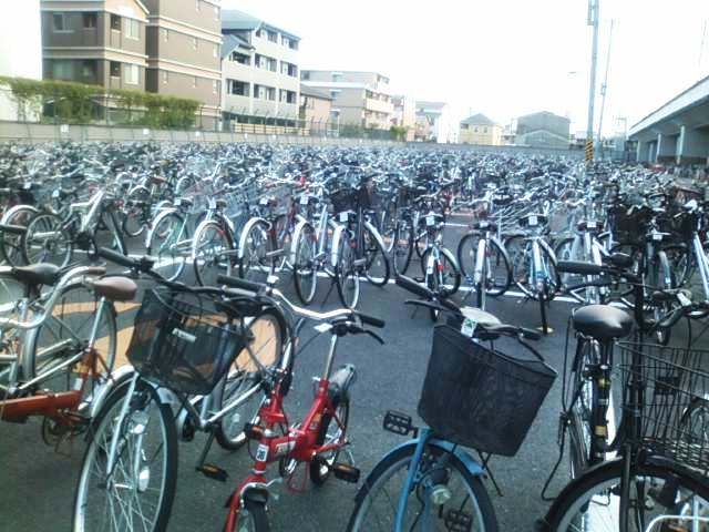 撤去自転車をお迎えに...(><; : きもの二条 -今日の風太-