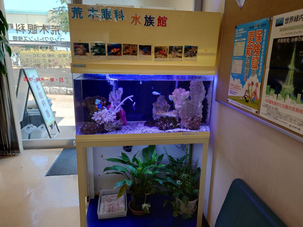 小型水槽リースのご紹介ですよ くまぱぱのブログ
