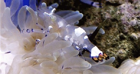 S__3596308