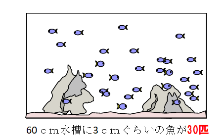 capture-20241016-134438