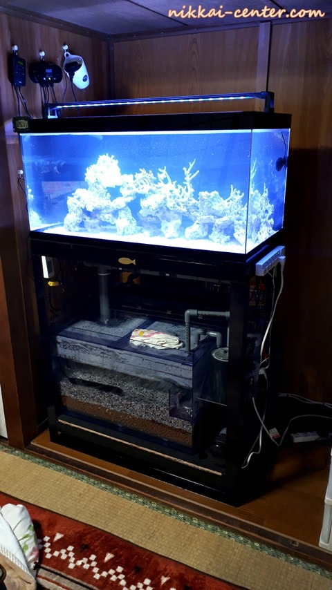 海水水槽
