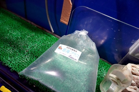 DSC00925