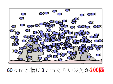 capture-20241016-135032