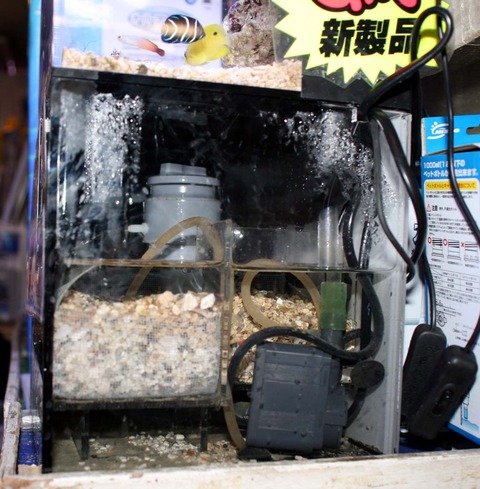 大人気のニッソークロスニミ ようやく再入荷したよ。人気の秘密