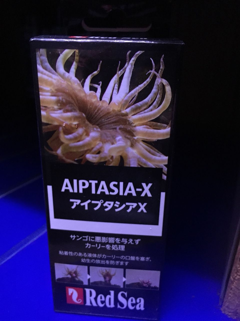 見かけませんか 厄介なアイツ 店内での出来事 海水魚のパイオニア 日海センター 日海フィッシュコム