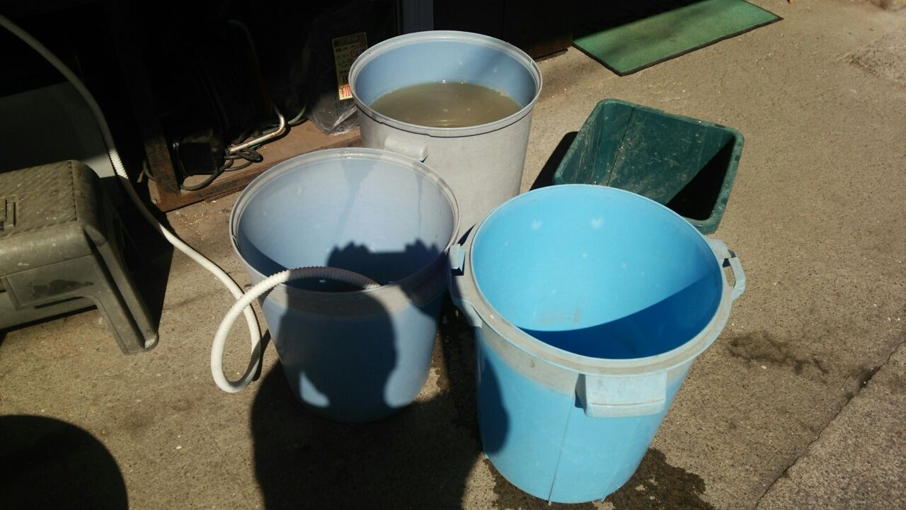 海水魚大型１ ７ｔ水槽の濾過槽の大掃除だよ くまぱぱのブログ