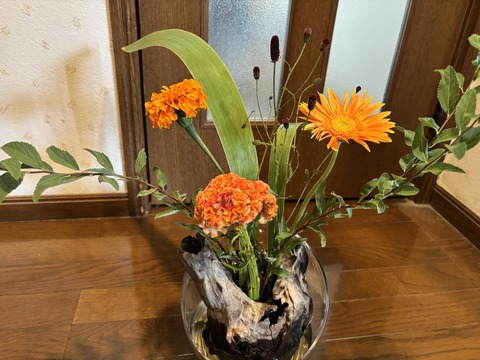 S__147570709 (1)