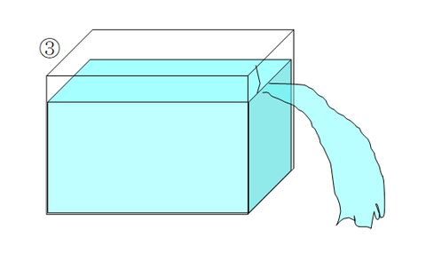 capture-20241208-093619