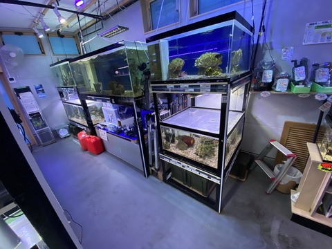 FB349AB2-F7CB-4BEE-B6D1-01A131438E02