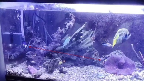 capture-20260603-091859
