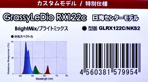 ブライト