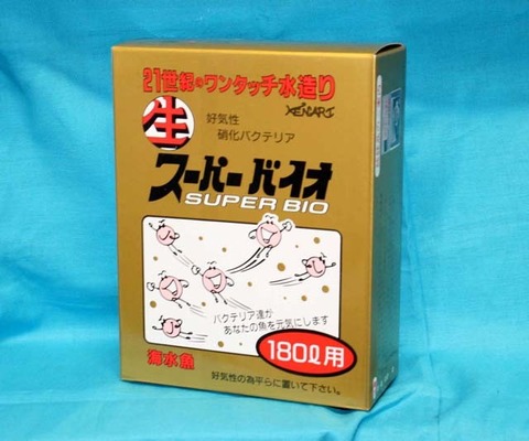 LL_IMG_9582----