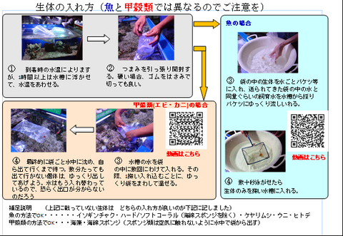capture-20200828-082004