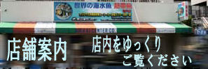 info-shop