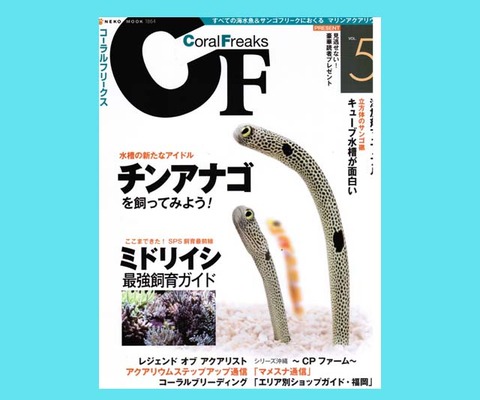 CCF20130129_00000