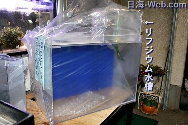 ６００ｘ４５０ｘ４５０の特注かんたん槽 くまぱぱのブログ