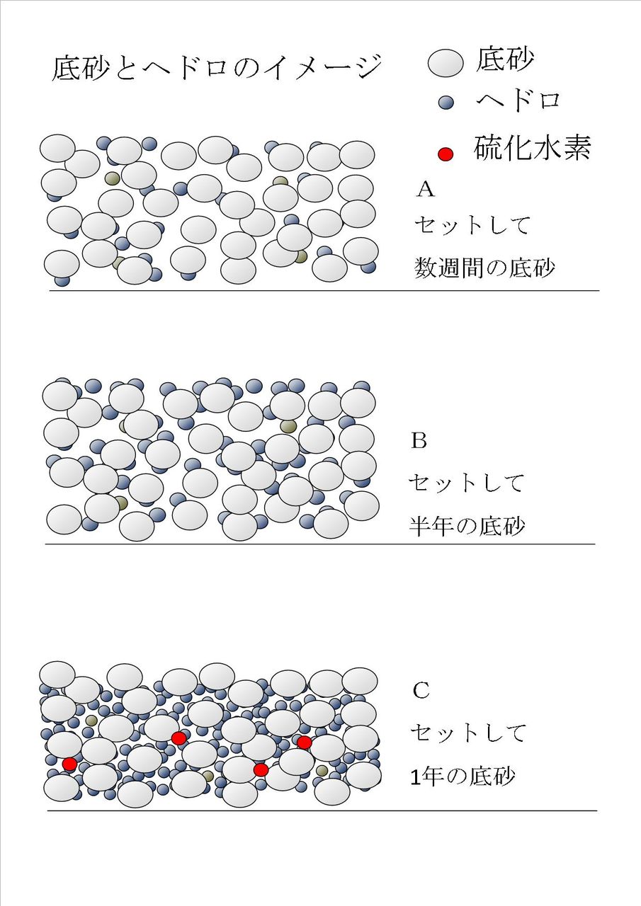 底砂のヘドロについて どのように考えればよいだろうか くまぱぱのブログ
